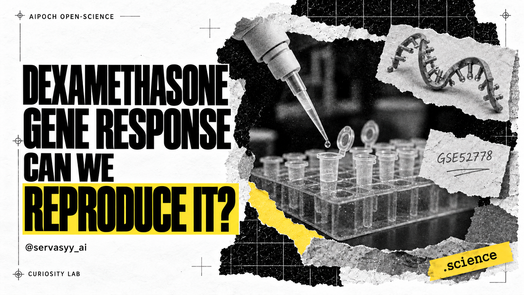 Reproducing the Dexamethasone Gene Response
