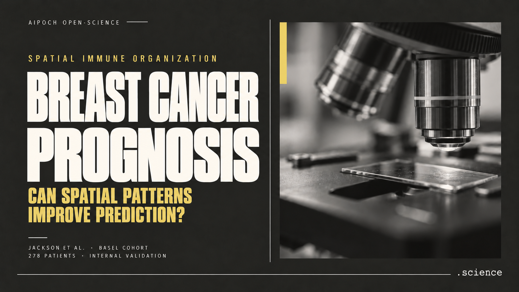 Spatial Immune Organization and Breast Cancer Prognosis