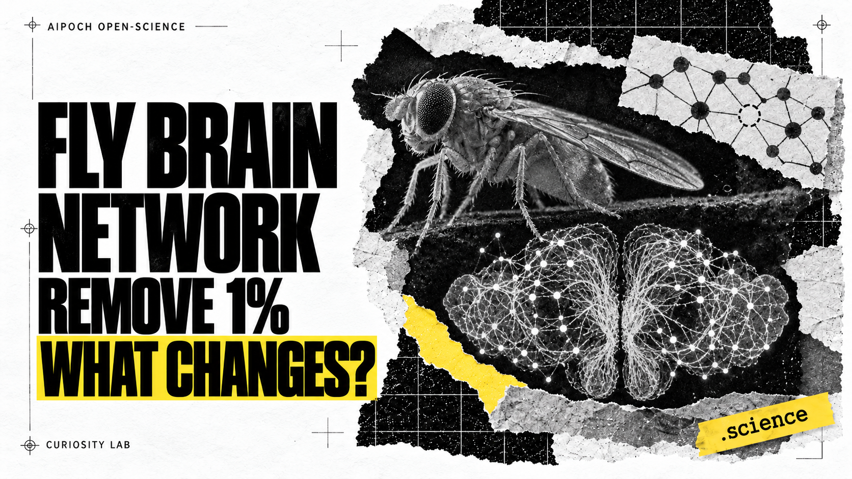 What Happens If You Remove 1% of the Nodes from the Fruit Fly Brain Network?
